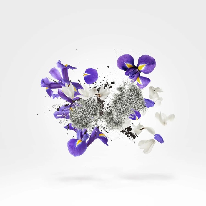 XERJOFF Shooting Stars: Apollonia Parfum