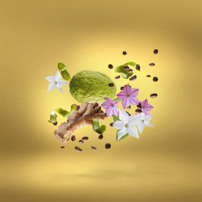 XERJOFF Shooting Stars: Uden Overdose Parfum