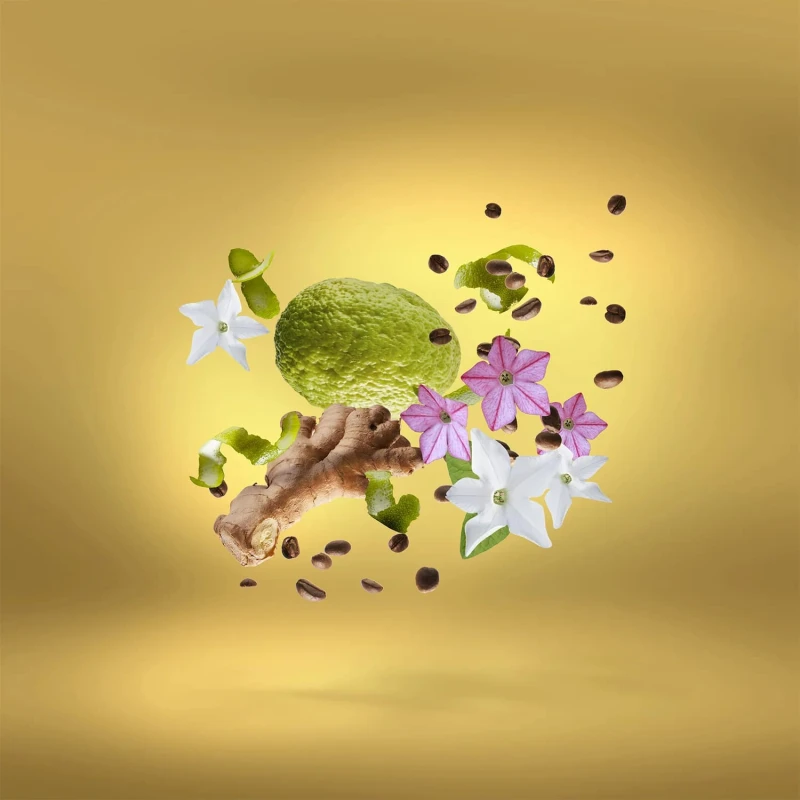 XERJOFF Shooting Stars: Uden Overdose Parfum