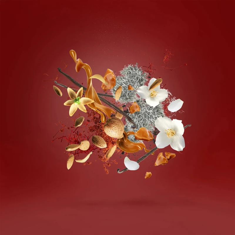 XJ Casamorati Italica EDP