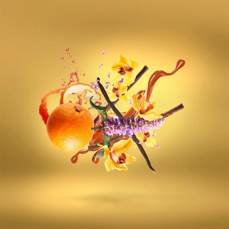 XJ Casamorati Lira EDP