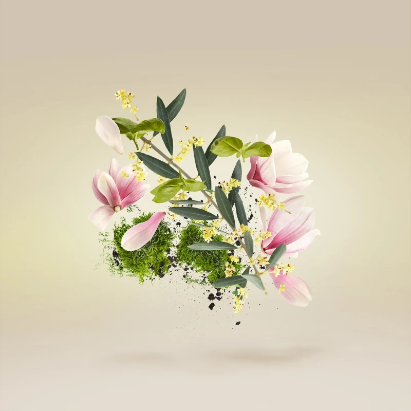 XJ Casamorati Fiore d'Ulivo EDP