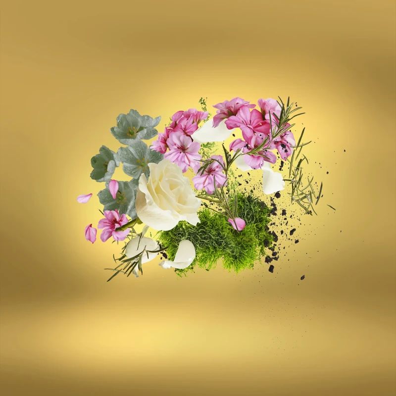XJ Casamorati CasaFutura EDP