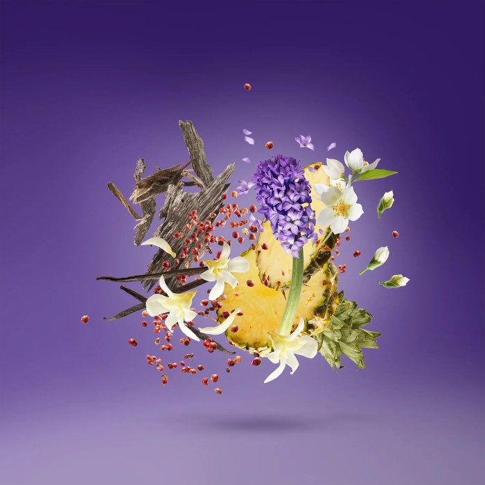 XERJOFF V: Purple Accento EDP