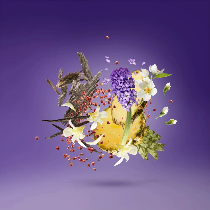 XERJOFF V: Purple Accento EDP