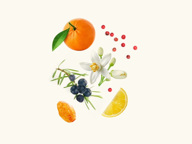 WIDIAN Rose Arabia: Mandarine EDP
