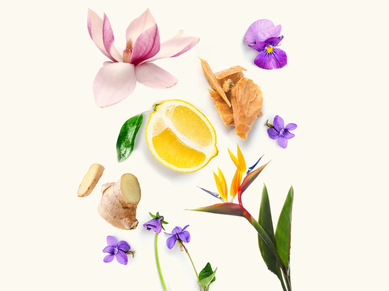 WIDIAN Rose Arabia: Ginger EDP