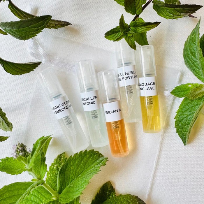 green-vibe-discovery-set.jpg