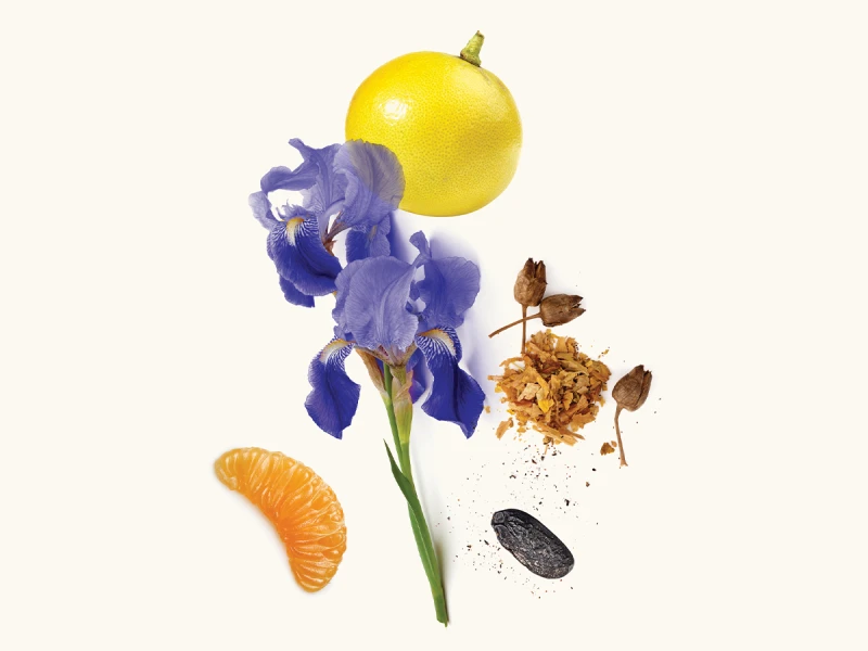 WIDIAN New York Parfum