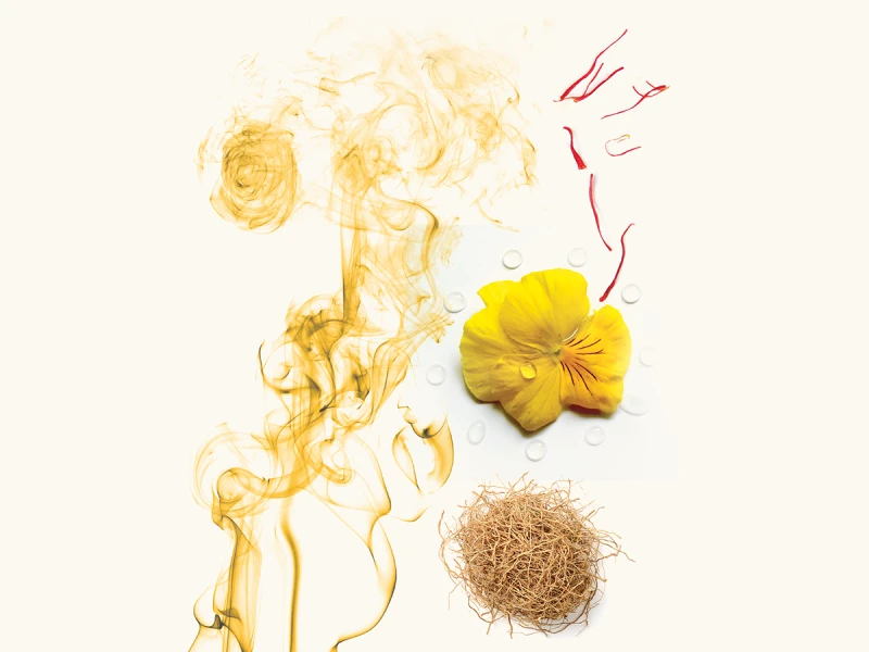 WIDIAN Liwa Parfum