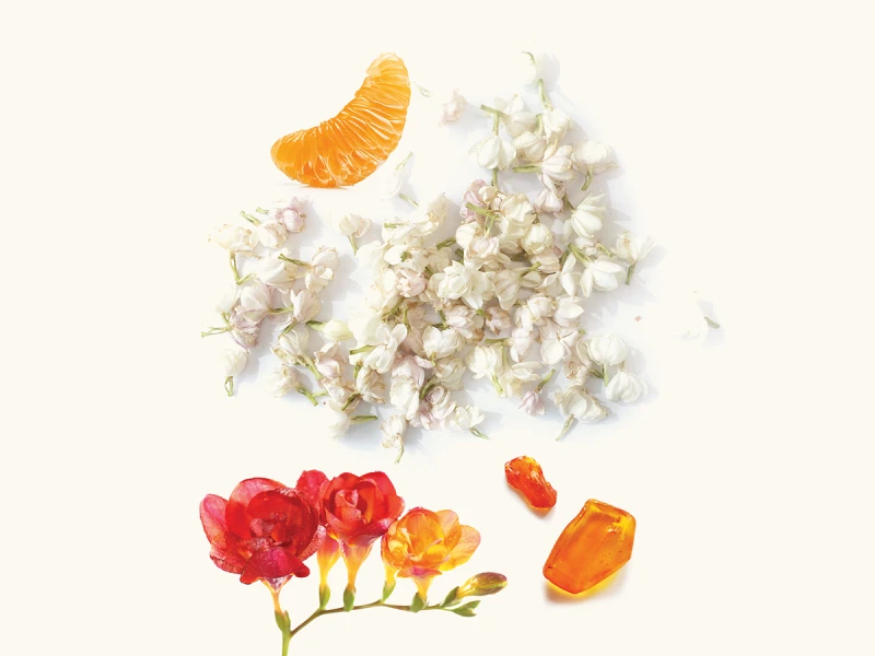 WIDIAN Delma Parfum