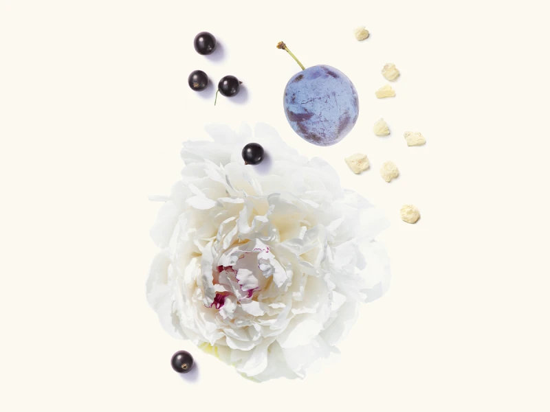 WIDIAN Black IV Parfum