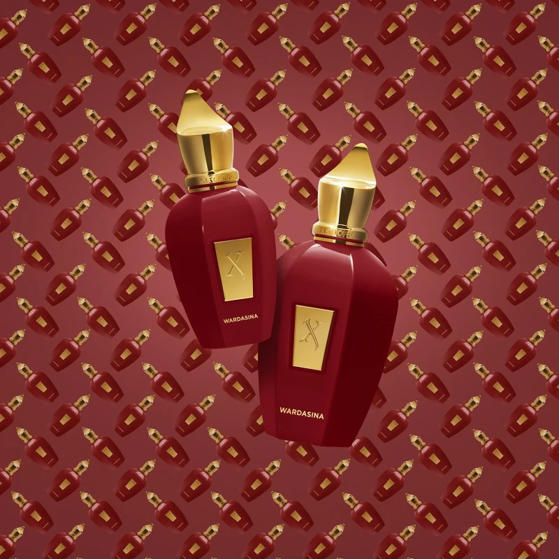 XERJOFF V: Wardasina EDP
