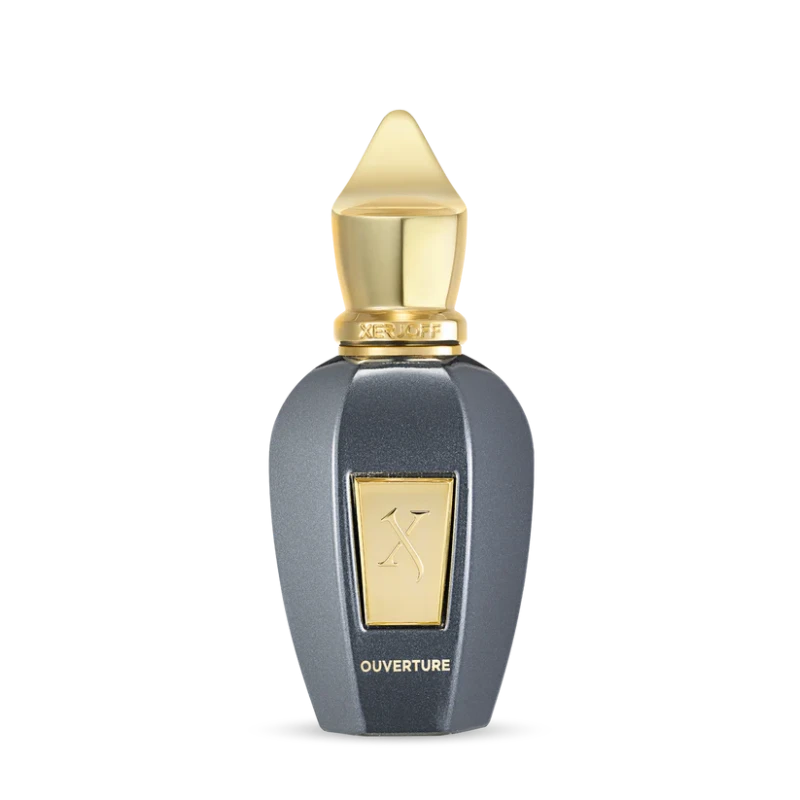 XERJOFF V: Ouverture EDP