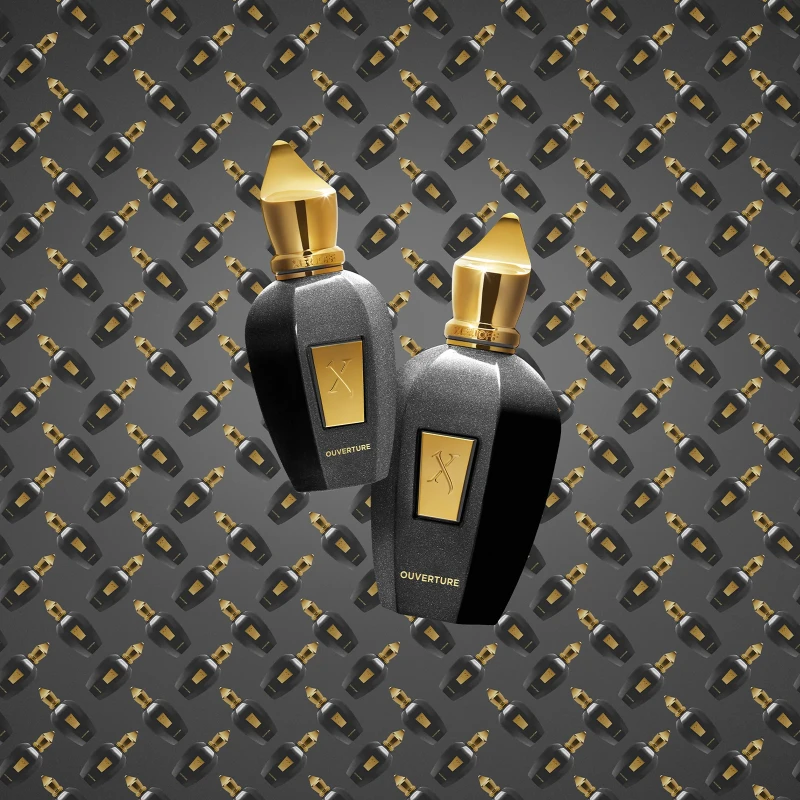 XERJOFF V: Ouverture EDP